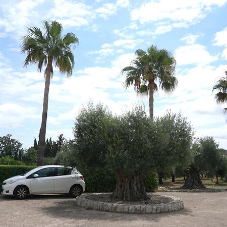 Sa Caseta Moscari Dış mekan fotoğraf